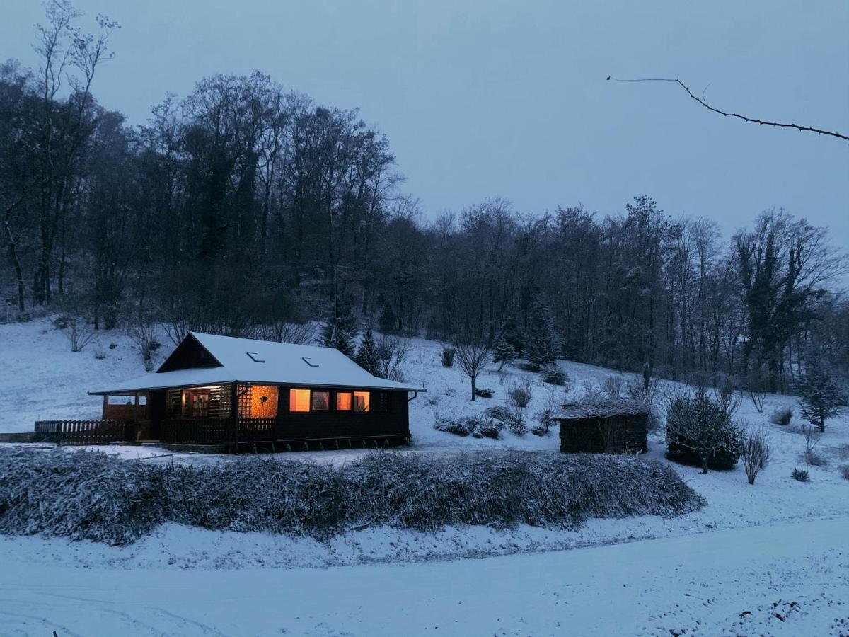 Holiday House Roko Sveti Ivan Zelina Екстер'єр фото
